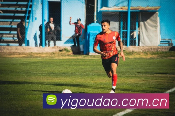 欧宝官方平台生态图