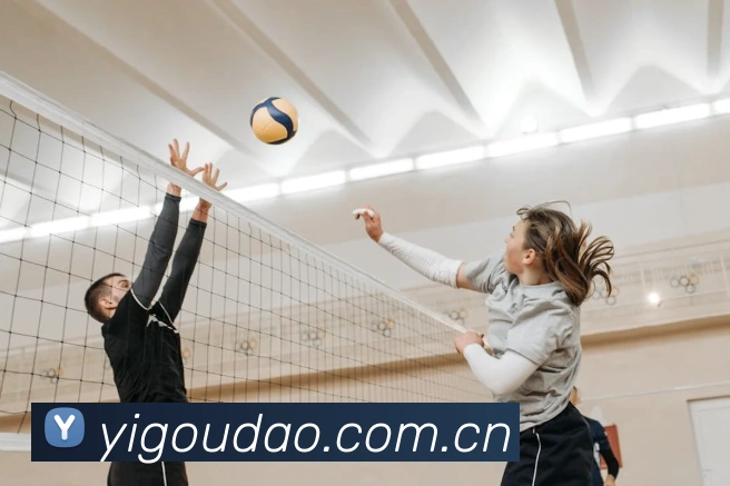 欧宝官方APP 封面图